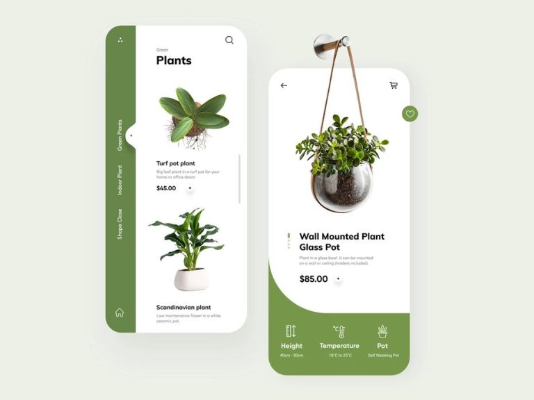 Plants: Harmony of nature and your living space